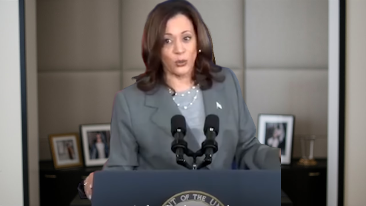 Vice President Kamala Harris: A Historic and Dynamic Leader