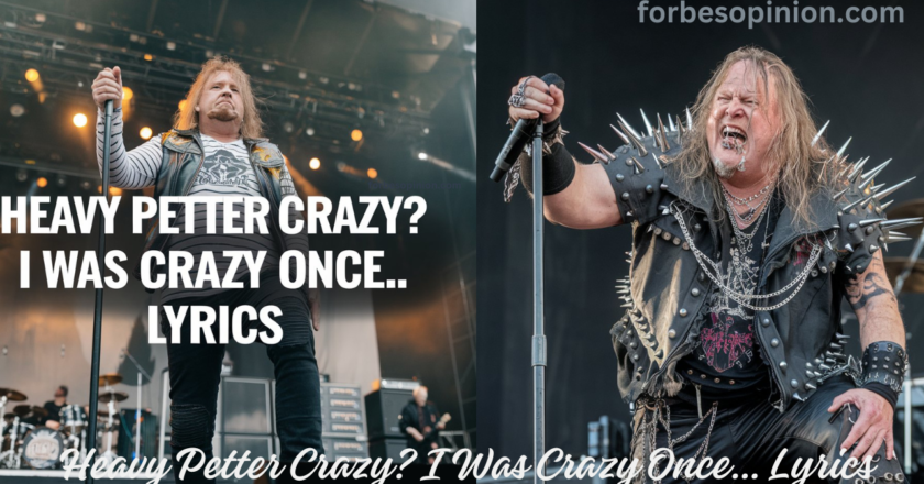 Heavy Petter Crazy? I Was Crazy Once… Lyrics